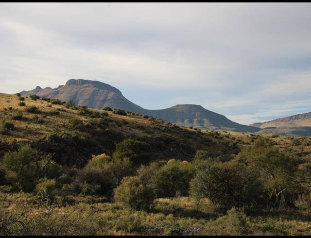 1,848HA FARM FOR SALE IN MIDDELBURG RURAL